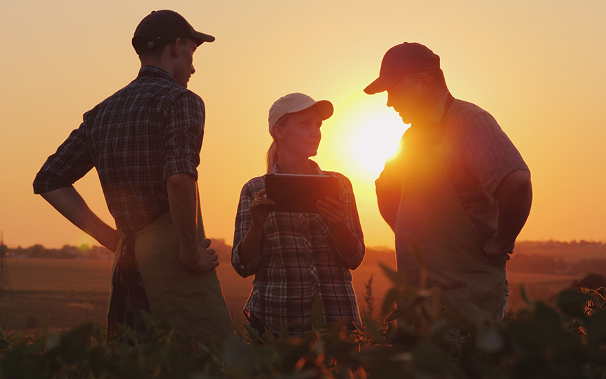 farmers in the field using a tablet to check their account