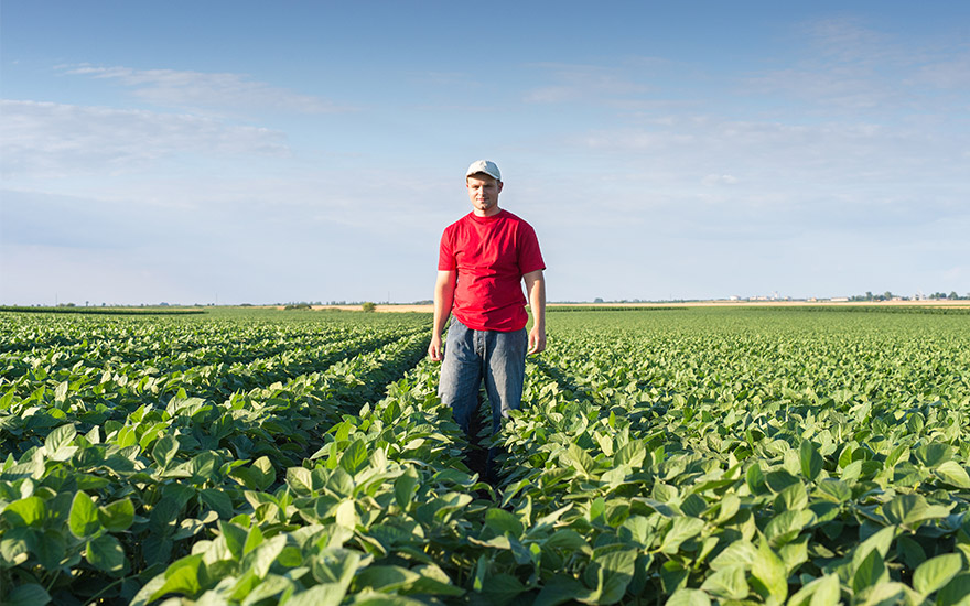 young farmer standing in a beet field