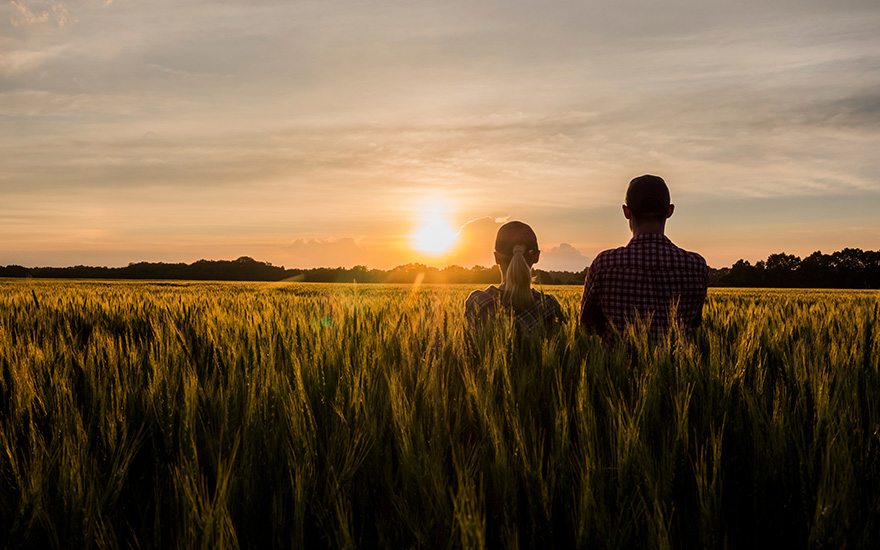 farming family standing in a wheat field