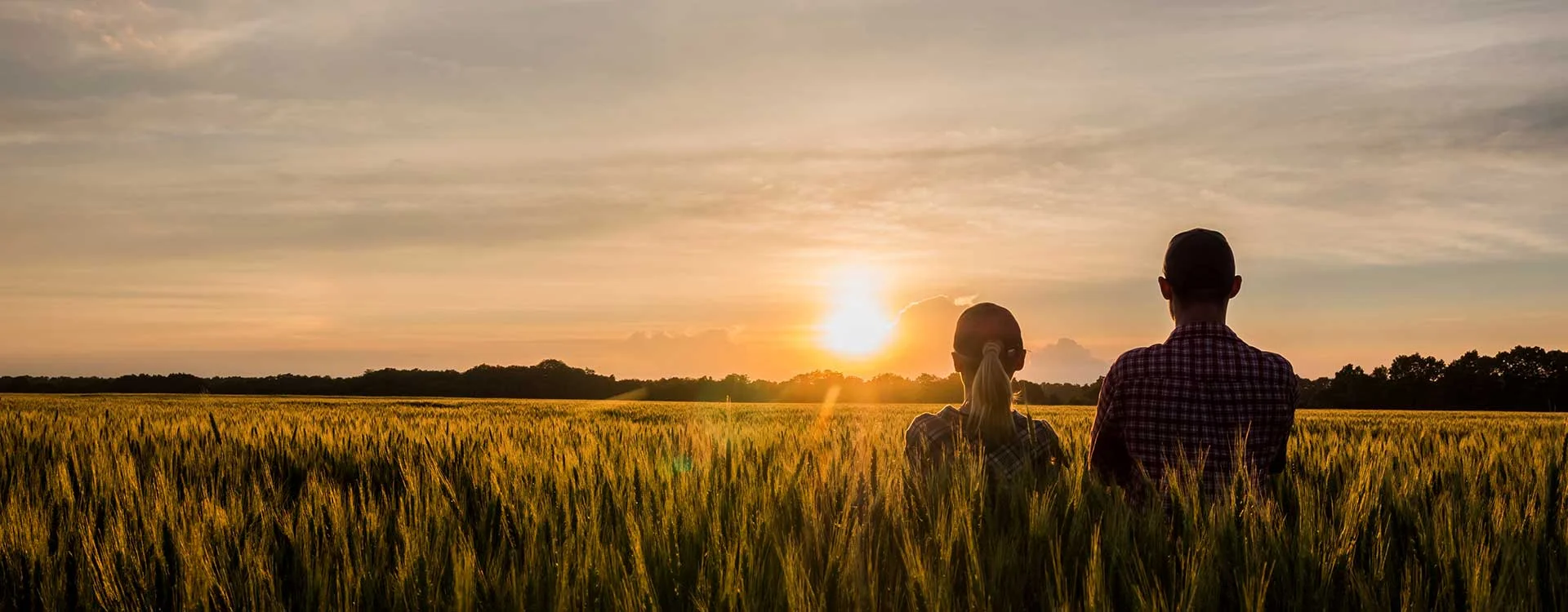 FARMERS IN FIELD